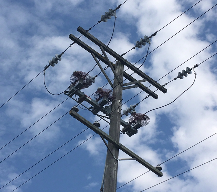 Electric (2)